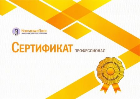 Обучение курс Профессионал